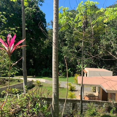 Alma Del Bosque Vacation Home And Apartments Quepos Εξωτερικό φωτογραφία