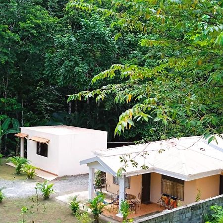 Alma Del Bosque Vacation Home And Apartments Quepos Εξωτερικό φωτογραφία