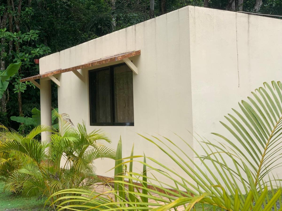 Alma Del Bosque Vacation Home And Apartments Quepos Εξωτερικό φωτογραφία