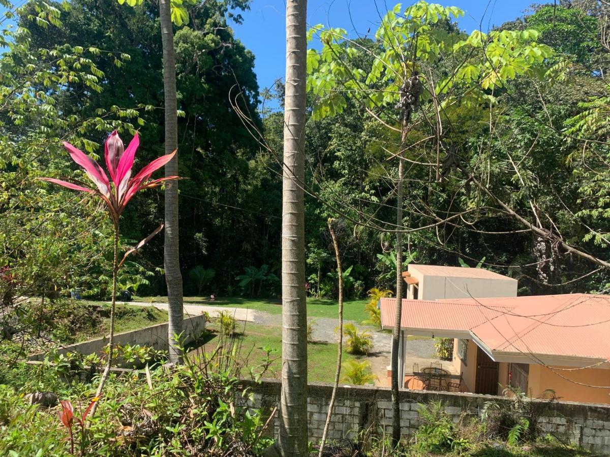 Alma Del Bosque Vacation Home And Apartments Quepos Εξωτερικό φωτογραφία